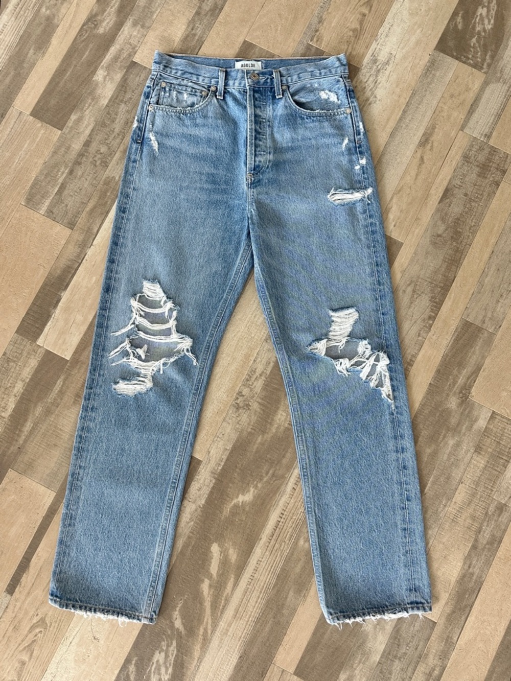 Agolde 90s Mid Rise Loose Fit Distressed Jeans in Fall Out 26